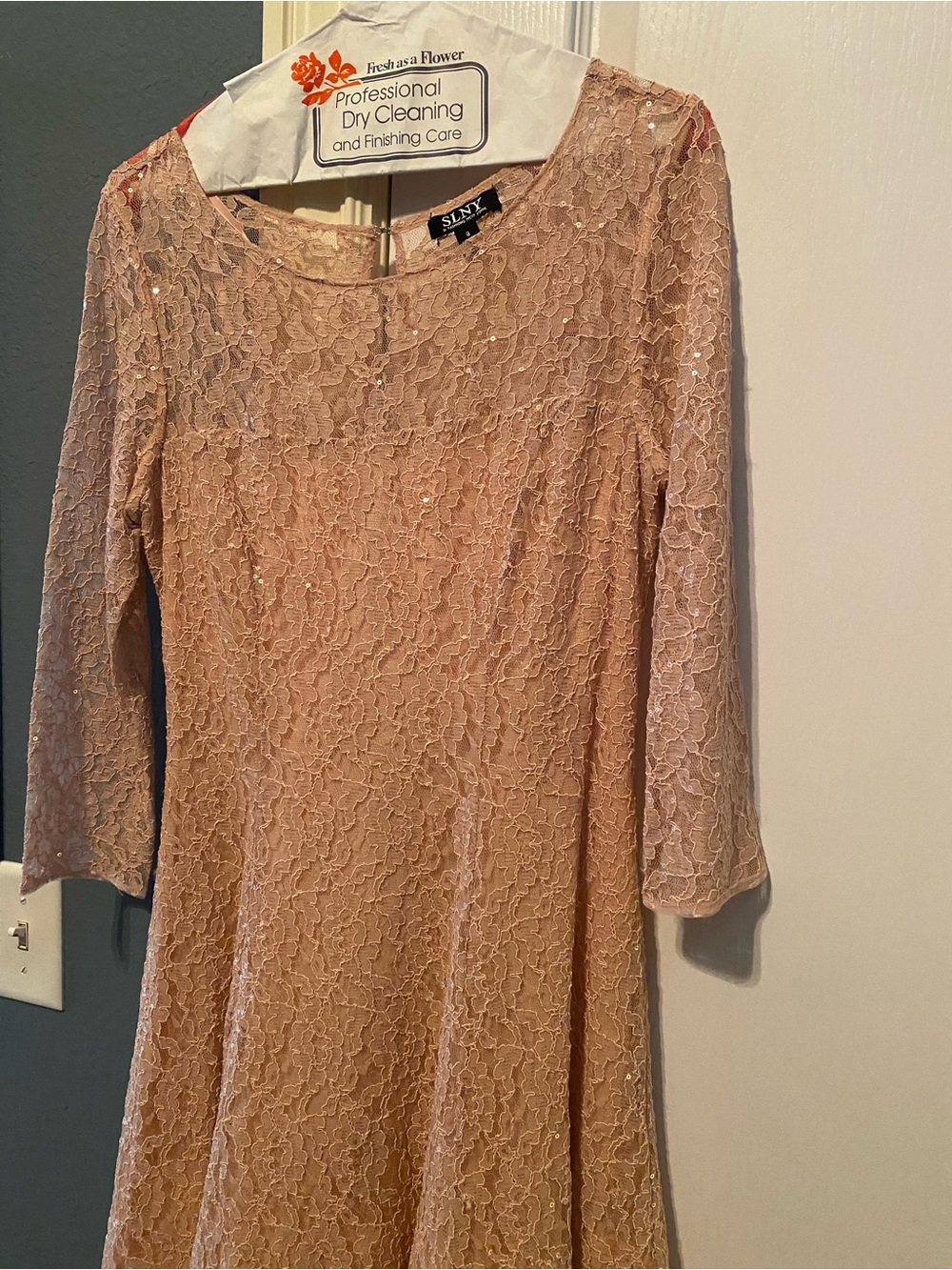 SLNY Dusty Blush Lace A-Line Long-Sleeve Dress
